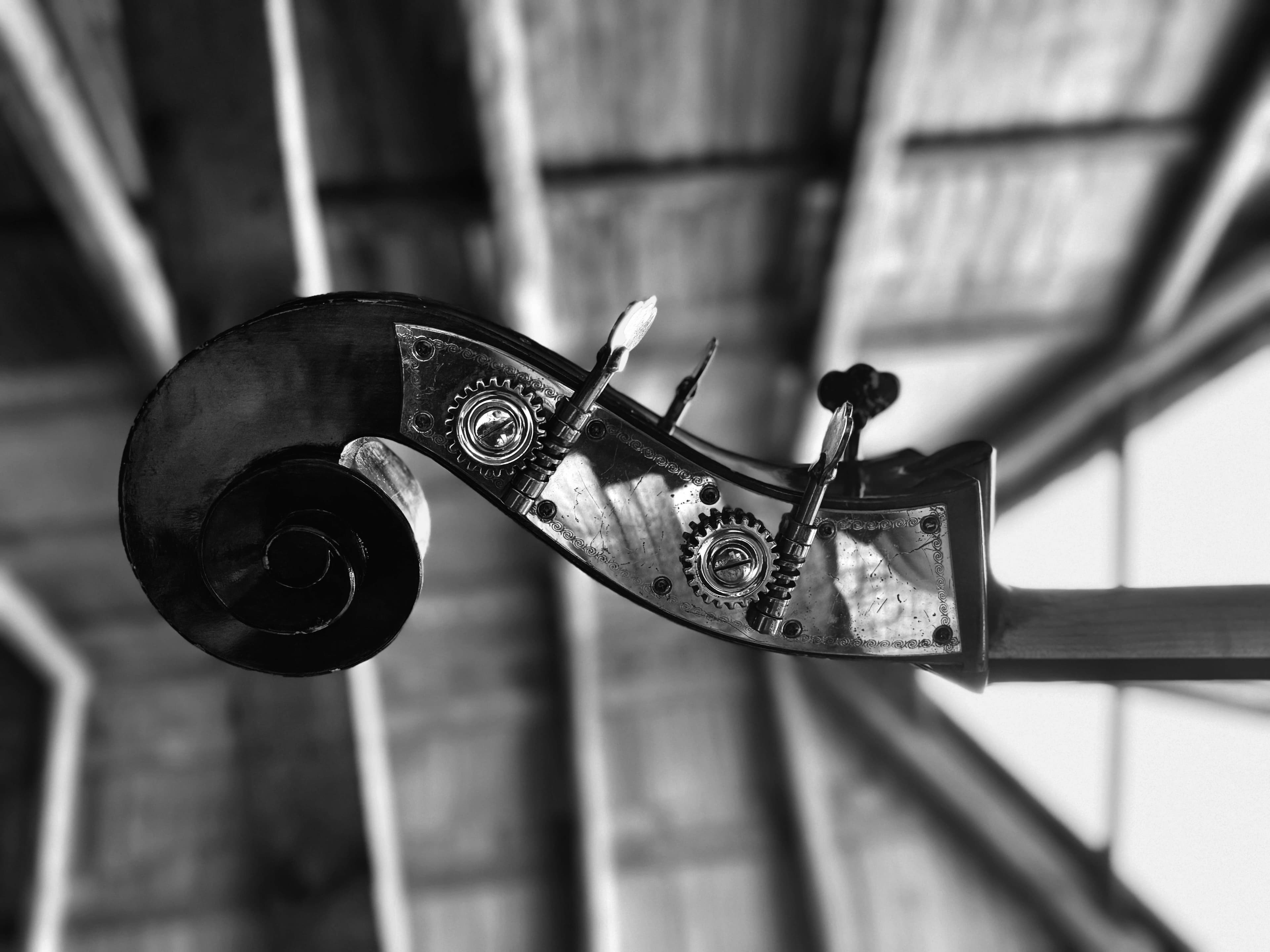 a black and white photo of a cello